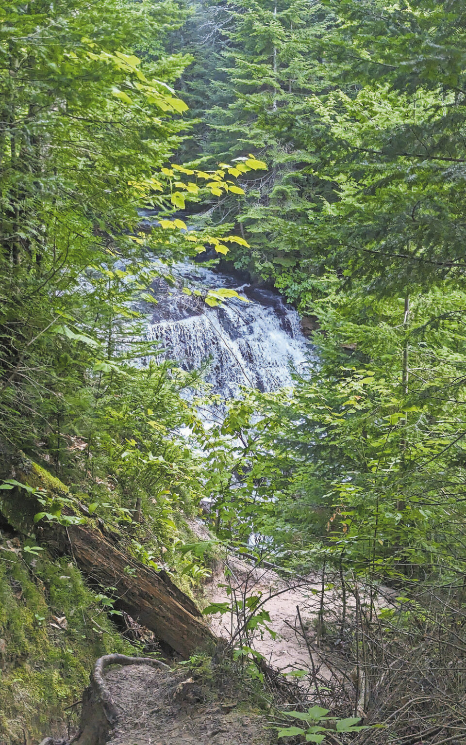 Discover Munising: A Hiker’s Paradise in Michigan’s Upper Peninsula ...