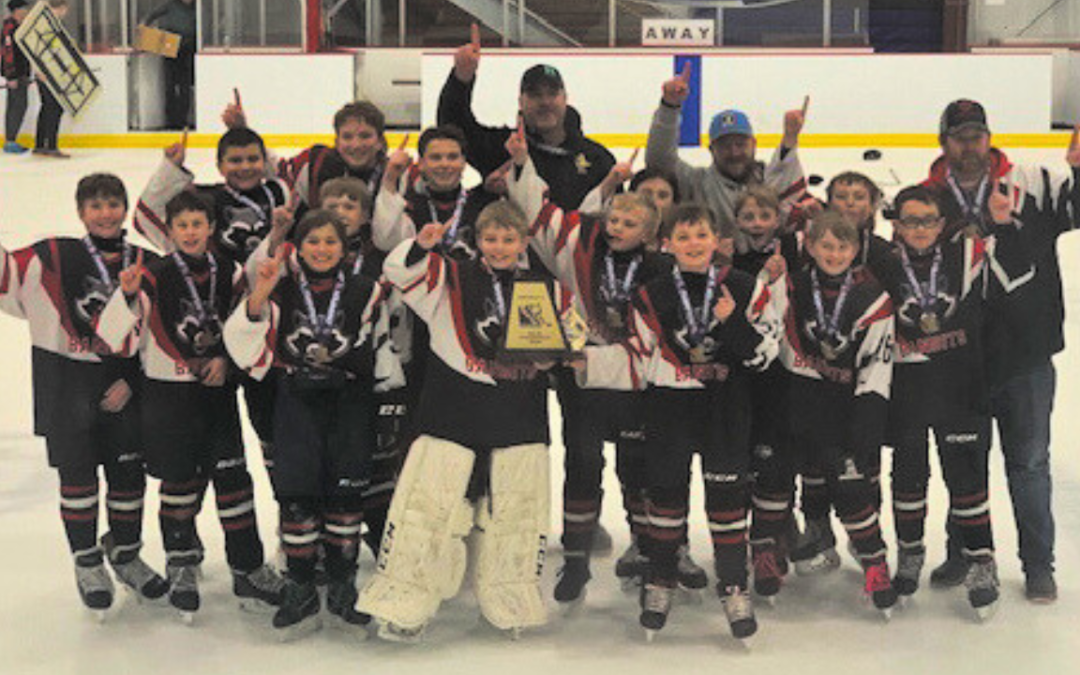 12U Bandits win district title